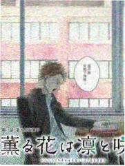 凌晨四点的厨房纪实综艺抽屉封面